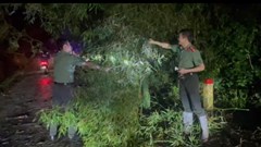 Thái Nguyên huy động lực lượng sẵn sàng ứng phó mưa lũ