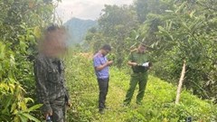 Khởi tố người đàn ông lẩn trốn vào rừng sử dụng ma túy