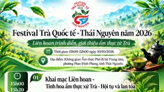 “World Master Tea Vietnam” đánh thức giá trị văn hóa trà Thái Nguyên
