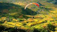 Nhiều hoạt động thu hút du khách dịp lễ 30.4 - 1.5 tại Mù Cang Chải