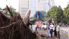 Quận Cầu Giấy ra quân tổng vệ sinh môi trường