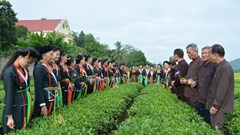 Bảo tồn di sản văn hóa phi vật thể của người Dao tại Hòa Bình và Bắc Kạn