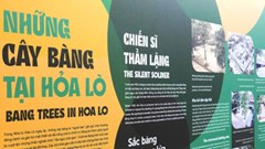 Trưng bày chuyên đề “Bàng ơi!” 