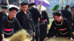 Phục dựng, bảo tồn Lễ hội giã cốm dân tộc Tày ở Na Hang