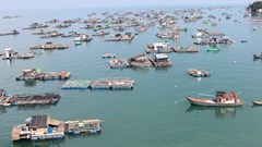 Phát động cuộc thi ảnh nghệ thuật “Tự hào đất biển Kiên Giang”