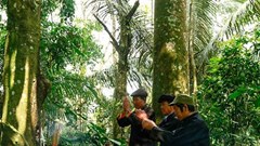 Lào Cai có thêm 2 di sản văn hóa phi vật thể quốc gia