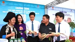 Đẩy mạnh chuyển đổi số gắn với phát triển thương mại điện tử