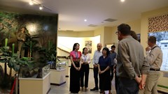 Bảo tàng Chiến thắng Điện Biên Phủ tăng cường hợp tác với Bảo tàng Ký ức chiến tranh Caen (Pháp)