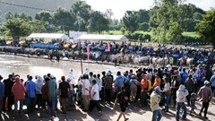 Sắp diễn ra Hội Đua bò Bảy Núi tranh Cúp Truyền hình An Giang lần thứ 30