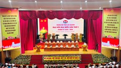 Phiên trù bị Đại hội đại biểu Đảng bộ tỉnh An Giang lần thứ I  