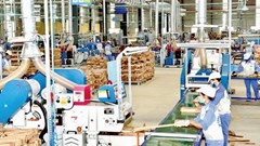 Phát triển kinh tế tư nhân là động lực quan trọng của tỉnh Tuyên Quang