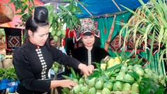 Kết nối thị trường, xây dựng chuỗi giá trị để nông sản Sơn La vươn xa