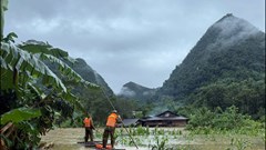 Khẩn trương ứng phó mưa lũ, ngập lụt đặc biệt nguy hiểm trên địa bàn