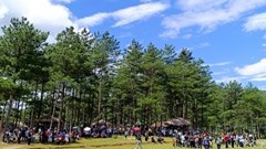 Thông Lâm bản Chít- điểm du lịch sinh thái hấp dẫn giữa núi rừng Tây Bắc