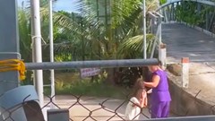 Xác minh vụ bé gái ở An Giang bị bạo hành lan truyền trên mạng xã hội