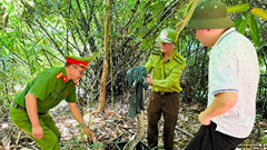 Kịp thời vận động người dân thả cá thể trăn quý hiếm về môi trường tự nhiên