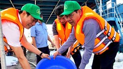 An Giang – Cần Thơ – Đồng Tháp thả cá giống tái tạo nguồn lợi thủy sản