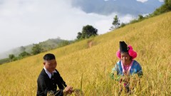 Lễ mừng cơm mới - nét đẹp văn hóa truyền thống dân tộc Mông ở Điện Biên