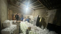 Lào Cai: Phát hiện, tạm giữ 880 lít rượu hương cốm không rõ nguồn gốc, xuất xứ