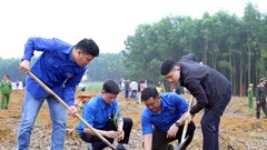 Tuyên Quang tổ chức Ngày Cây xanh Việt Nam để xây dựng lối sống xanh, bền vững