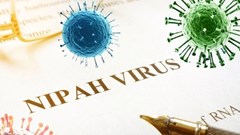 Tuyên Quang tăng cường giám sát phòng, chống dịch bệnh do virus Nipah
