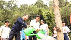 Điện Biên phát động “Tết trồng cây đời đời nhớ ơn Bác Hồ”