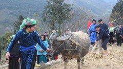 Mộc mạc lễ hội xuống đồng của người Giáy nơi vùng cao Lũng Cú