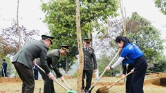 Lai Châu phát động “Tết trồng cây đời đời nhớ ơn Bác Hồ”