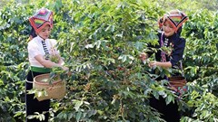 Góp phần thúc đẩy nông nghiệp, nông thôn Sơn La phát triển bền vững