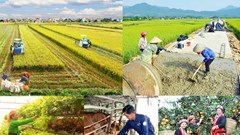 Tuyên Quang tập trung thực hiện hiệu quả các chương trình mục tiêu quốc gia