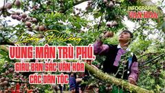 (Infographic) Lóng Phiêng - vùng mận trù phú, giàu bản sắc văn hóa các dân tộc