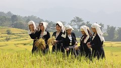 Xây dựng nông thôn Tuyên Quang xanh, hiện đại, giàu bản sắc văn hóa