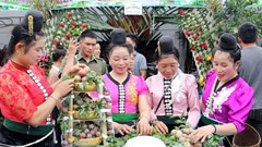 Nâng tầm giá trị mận, lan tỏa thương hiệu nông sản Sơn La 