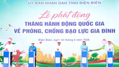 Điện Biên chủ động phát hiện, xử lý hiệu quả bạo lực gia đình ngay từ cơ sở