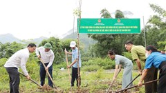 Điện Biên phát động hưởng ứng Ngày Môi trường thế giới năm 2026
