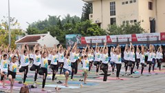 Gần 500 người đồng diễn chào mừng Ngày Quốc tế Yoga tại Điện Biên