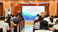 Thúc đẩy chuyển đổi số để xây dựng thương hiệu, mở rộng thị trường 