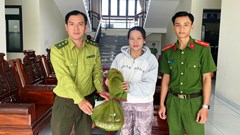 Người dân An Giang chủ động giao nộp động vật hoang dã