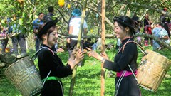 Rộn ràng chuỗi hoạt động “Hồng Thái với Mùa thu Tháng Tám”