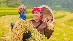 Sơn Lương rộn ràng chuẩn bị Lễ hội Mừng cơm mới