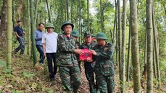Lào Cai cất bốc hài cốt liệt sĩ chưa rõ danh tính tại Mường Hum