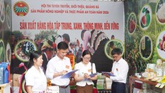 Điện Biên quảng bá nông sản an toàn, nâng tầm giá trị sản phẩm