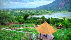 Buộc tháo dỡ quán cà phê xây trái phép trên đất rừng phòng hộ ở An Giang