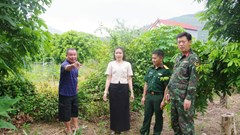 Sơn La khảo sát, xác minh thông tin phần mộ liệt sĩ tại xã Chiềng Khoong