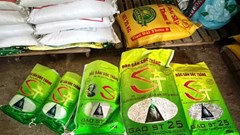 An Giang khởi tố vụ đóng gói hơn 7,7 tấn gạo giả mạo nhãn hiệu ST25