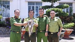 Người dân An Giang tự nguyện giao nộp chim diều hoa Miến Điện và cầy hương