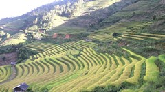 Phát triển du lịch Mù Cang Chải gắn với bảo tồn văn hóa, cảnh quan