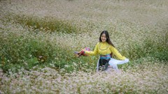 Lũng Cú sẵn sàng đón du khách mùa hoa tam giác mạch