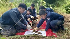 An Giang: Đội K93 quy tập được 16 hài cốt liệt sĩ tại xã Ô Lâm