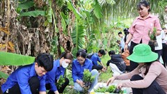 Châu Thành ra mắt mô hình “Ấp không ma túy”